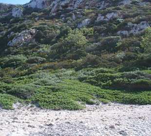 La cala santa Maria