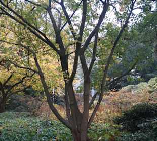 Parkanlage Planten un Blomen