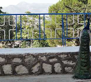  Profitis Amos - Faliraki