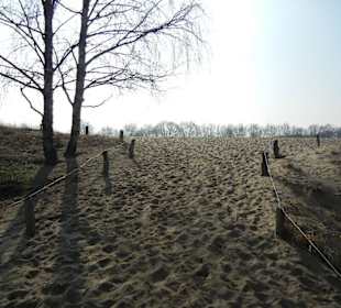 Dünen