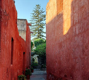 Santa Catalina Kloster