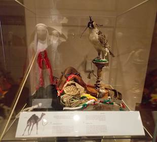 Экспонат исторического музея Шарджи