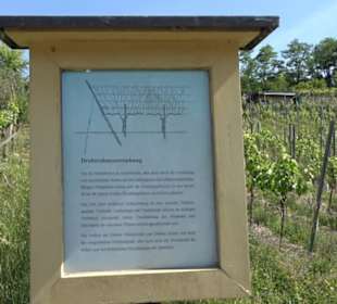 Weinlehrpfad Wurmlingen