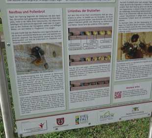 Gomaringer Rundweg - Zu den Giganten im Wald