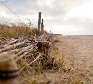 Heimathafen Büsum Umgebung