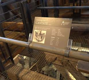 Glockenmuseum Stiftskirche Herrenberg