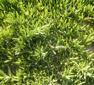 Piękna przyroda a trasie przejazdu