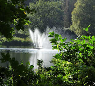 Der Gesundheitspark Speckenbüttel im Herbst