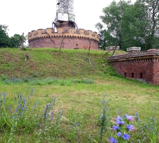 Festung Aniola