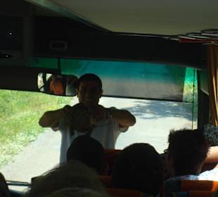 Cem mit Schildkröte die unseren Weg kreuzte