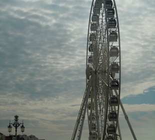 Brighton Whell