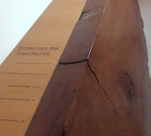 Entwicklung der Pflanzenwelt