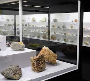 In der geologischen Abteilung