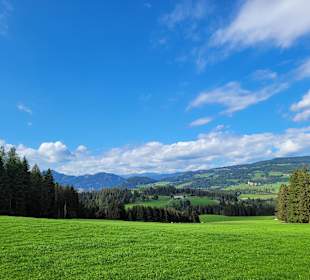 Wandern Hörfeld Moor