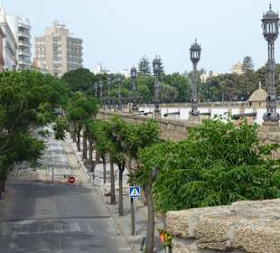 Cádiz