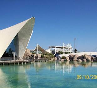 L' Oceanogràfic (Aquarium)