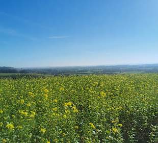 Wandern Bad Griesbach im Rottal
