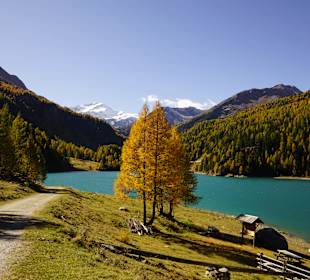 Wandern Silandro / Schlanders