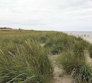 Strand Schillig in Wangerland