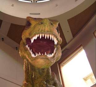 Universal Adventure Island