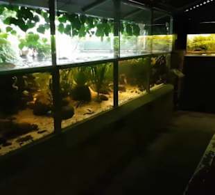 Botanischer Garten