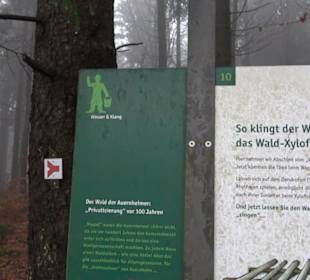 Auernheimer Krippenweg