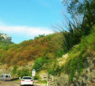 Schnell kann man dort nicht fahren