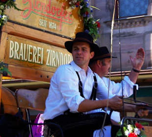 Brauerei Zirndorf 6 Rheinländischen Kaltblütern