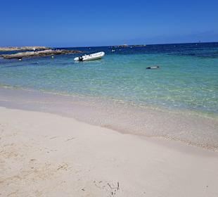 Strand