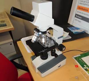 Rundgang durch das Museo della Foca Monaca