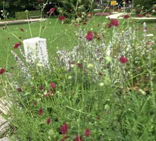 Blühendes Neresheim 2021