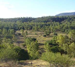 Casela Nature Park
