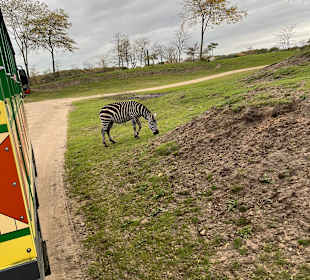 Wildlands Zoo in Emmen 