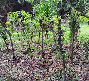 Ausflug mit Mario von Edelweiss Tours