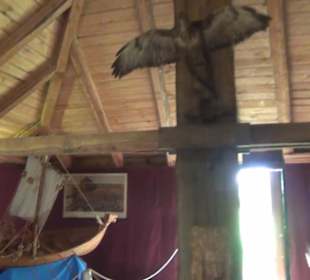 Slawendorf Neustrelitz