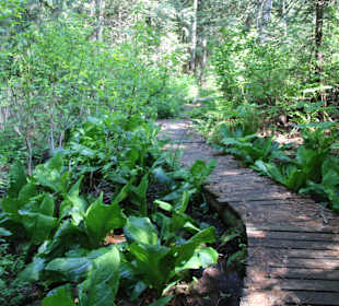 ...wir hatten uns mehr erwartet