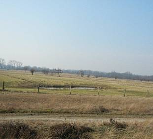 Wunderschöne Boberger Niederung