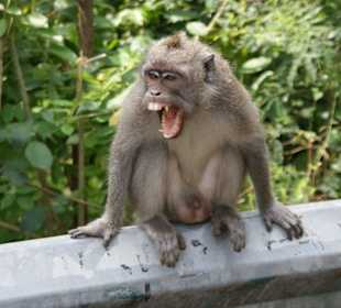 Das ist aber nicht Martin