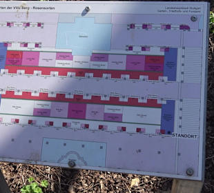 Rosengarten Villa Berg