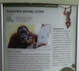 Tierpark Hellabrunn - Welt der Affen