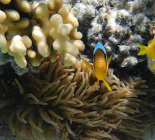 Vor der Kitestation, weit draußen