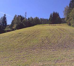 Die Pistenabfahrt Schloßalm