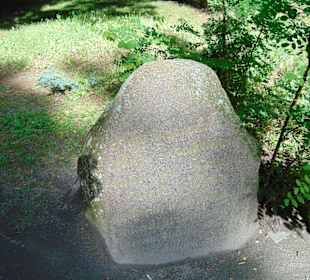 Камни в парке