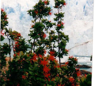 Glaciar Perito Moreno