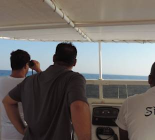 SimSim Crew sucht nach Delfinen