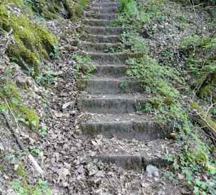 Hier wieder mal hoch