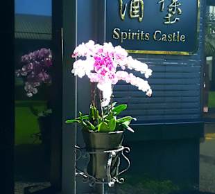 Kavalan Whisky Distillery 