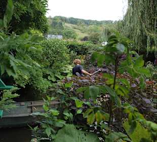 Roślinność w ogrodzie