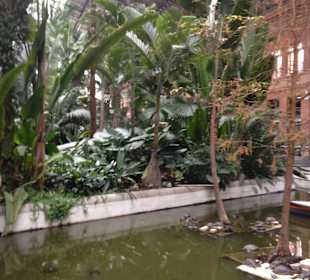 Botanischer Garten im Bahnhof Atocha Madrid