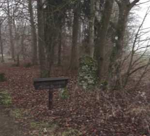 Wallfahrtskirche Maria Buch